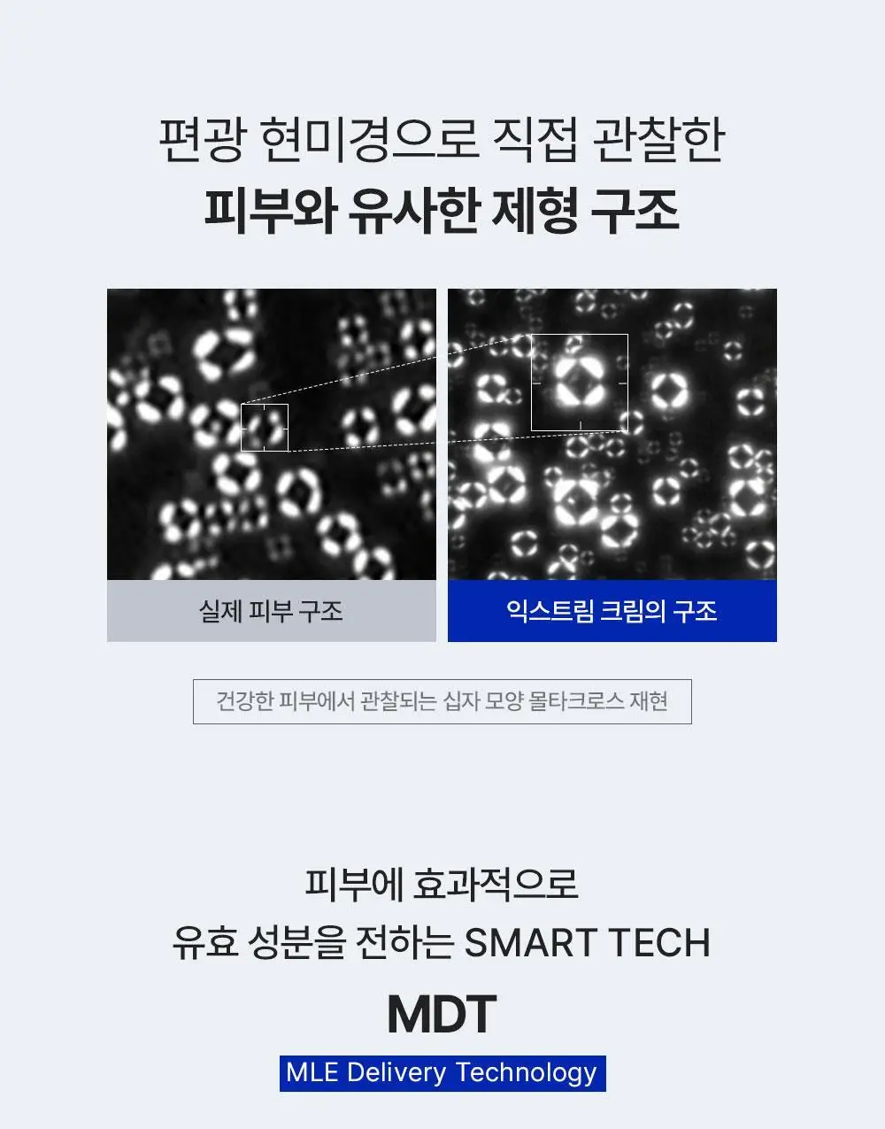 [조슈아PICK/1+1] 리얼베리어 익스트림 크림 70ml 1+1 기획 상세페이지 25